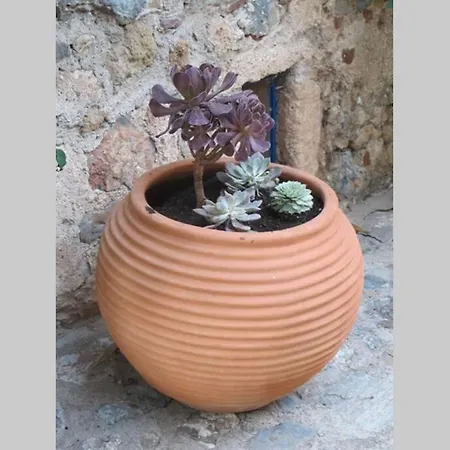 Blue Door Appartement *